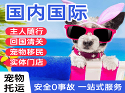 硕放机场托运国际宠物托运 【国